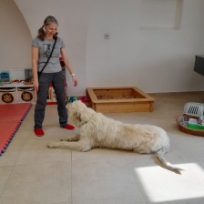 Všechnohrátky v MŠ - povídání o pejskovi