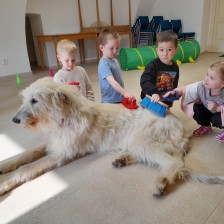 Všechnohrátky v MŠ - povídání o pejskovi