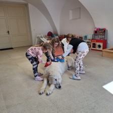 Všechnohrátky v MŠ - povídání o pejskovi