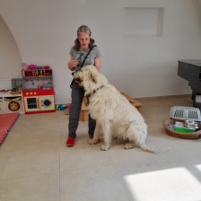 Všechnohrátky v MŠ - povídání o pejskovi