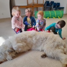 Všechnohrátky v MŠ - povídání o pejskovi