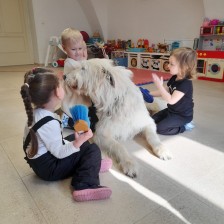 Všechnohrátky v MŠ - povídání o pejskovi