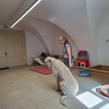 Všechnohrátky v MŠ - povídání o pejskovi