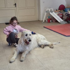 Všechnohrátky v MŠ - povídání o pejskovi