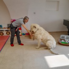 Všechnohrátky v MŠ - povídání o pejskovi