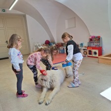 Všechnohrátky v MŠ - povídání o pejskovi