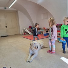 Všechnohrátky v MŠ - povídání o pejskovi