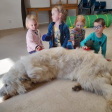 Všechnohrátky v MŠ - povídání o pejskovi