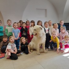 Všechnohrátky v MŠ - povídání o pejskovi