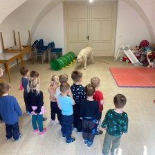 Všechnohrátky v MŠ - povídání o pejskovi