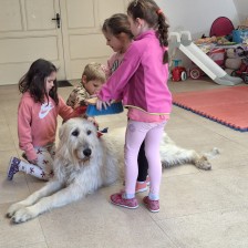 Všechnohrátky v MŠ - povídání o pejskovi