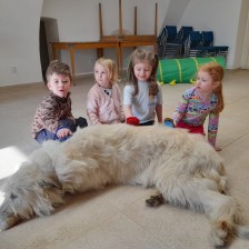 Všechnohrátky v MŠ - povídání o pejskovi