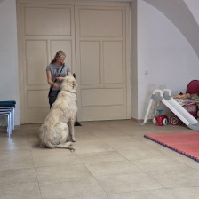 Všechnohrátky v MŠ - povídání o pejskovi