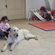 Všechnohrátky v MŠ - povídání o pejskovi