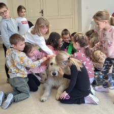 Všechnohrátky v MŠ - povídání o pejskovi