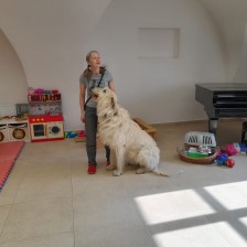 Všechnohrátky v MŠ - povídání o pejskovi