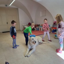 Všechnohrátky v MŠ - povídání o pejskovi