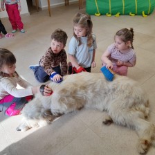 Všechnohrátky v MŠ - povídání o pejskovi