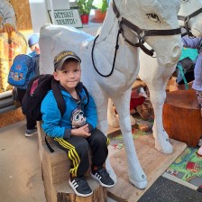 Výlet Soviček a Sluníček