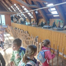 Výlet Soviček a Sluníček