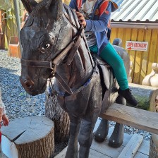 Výlet Soviček a Sluníček