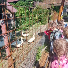 Výlet Soviček a Sluníček