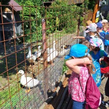 Výlet Soviček a Sluníček