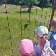 Výlet Soviček a Sluníček