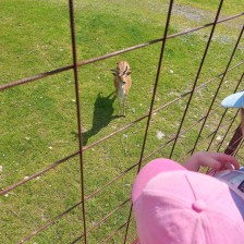 Výlet Soviček a Sluníček