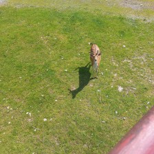 Výlet Soviček a Sluníček