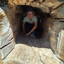 Výlet Soviček a Sluníček