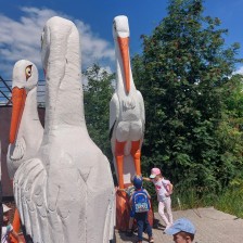 Výlet Soviček a Sluníček