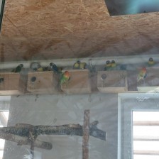 Výlet Soviček a Sluníček